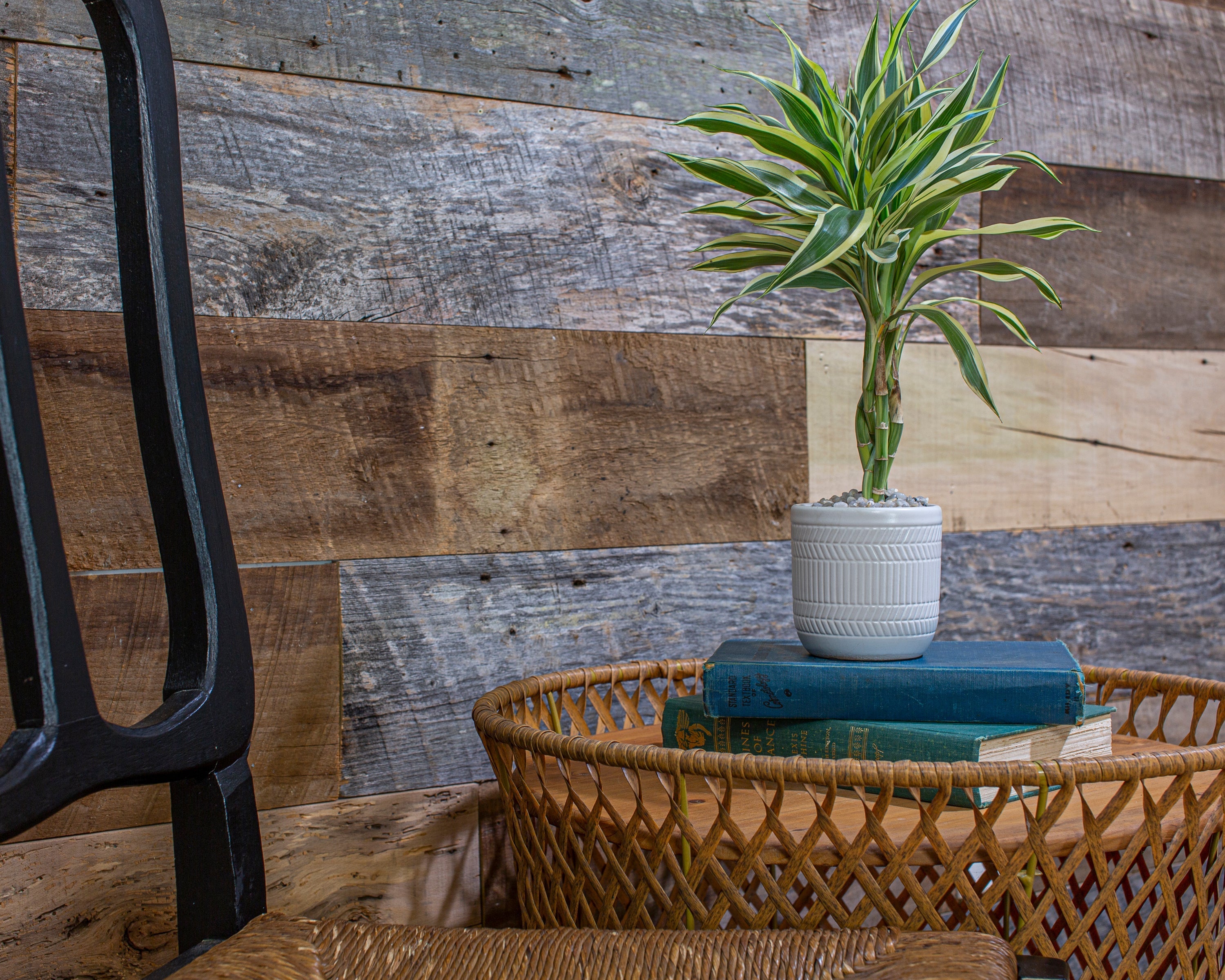 The History in Every Grain: Why Homeowners Love Reclaimed Lumber