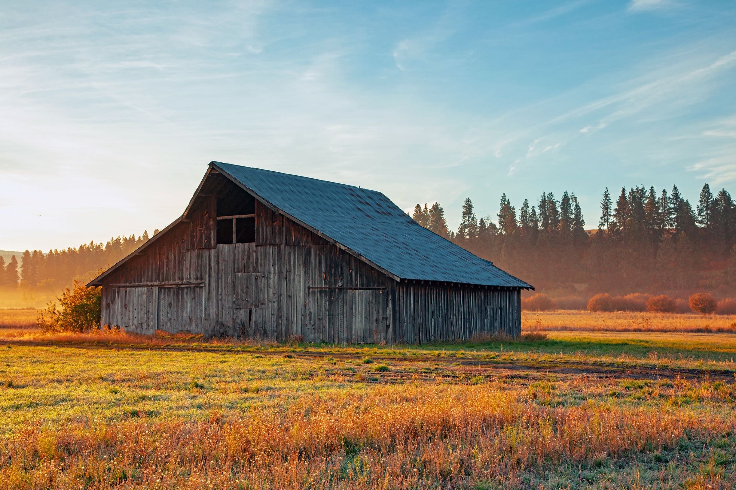 Old farmhouse in the middle of a field.