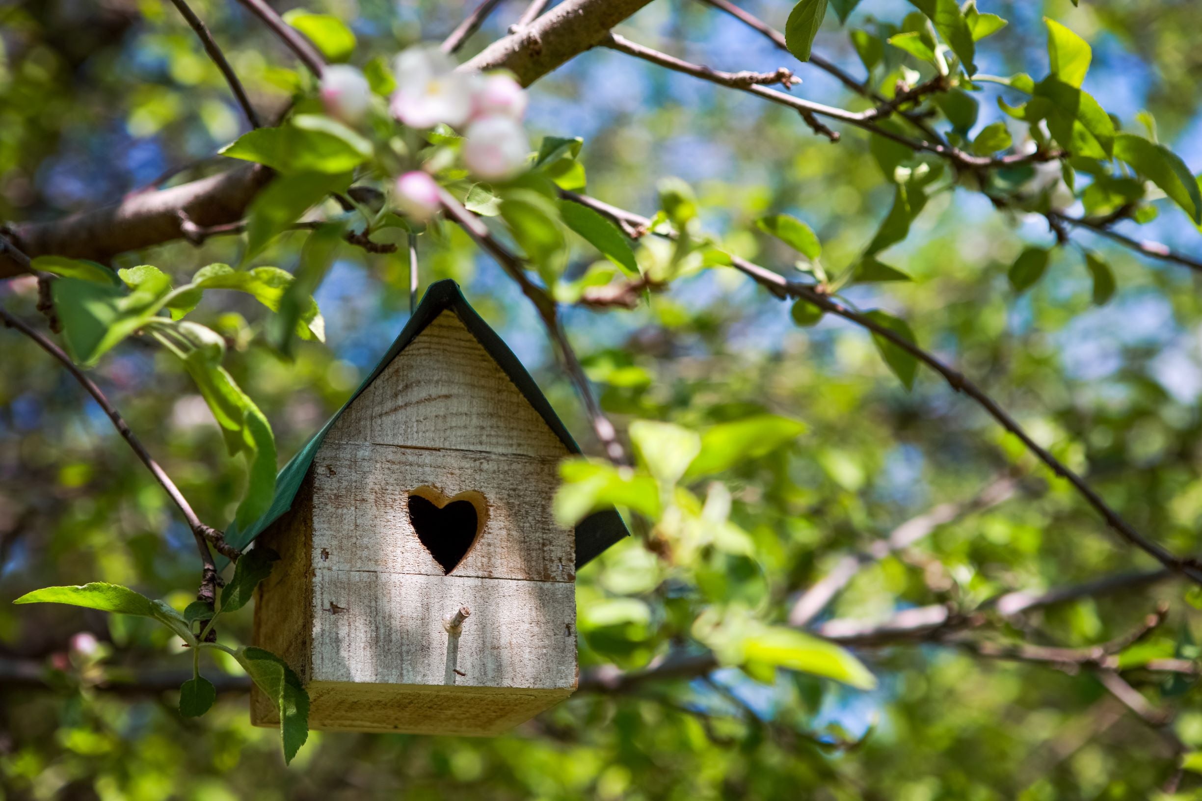 Wooden bird house with a heart entry.
