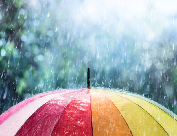 Creative Reclaimed Barnwood Projects for Rainy Days