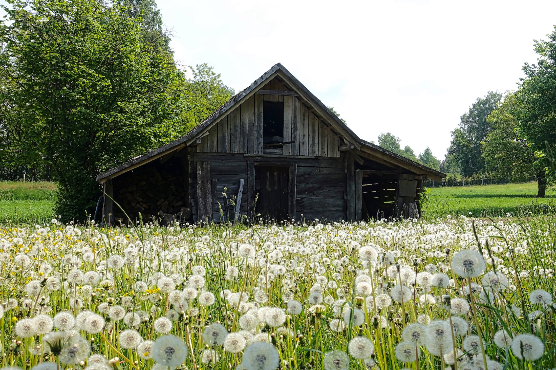 Where Does Vintage Lumber Come From? The Story Behind Reclaimed Wood