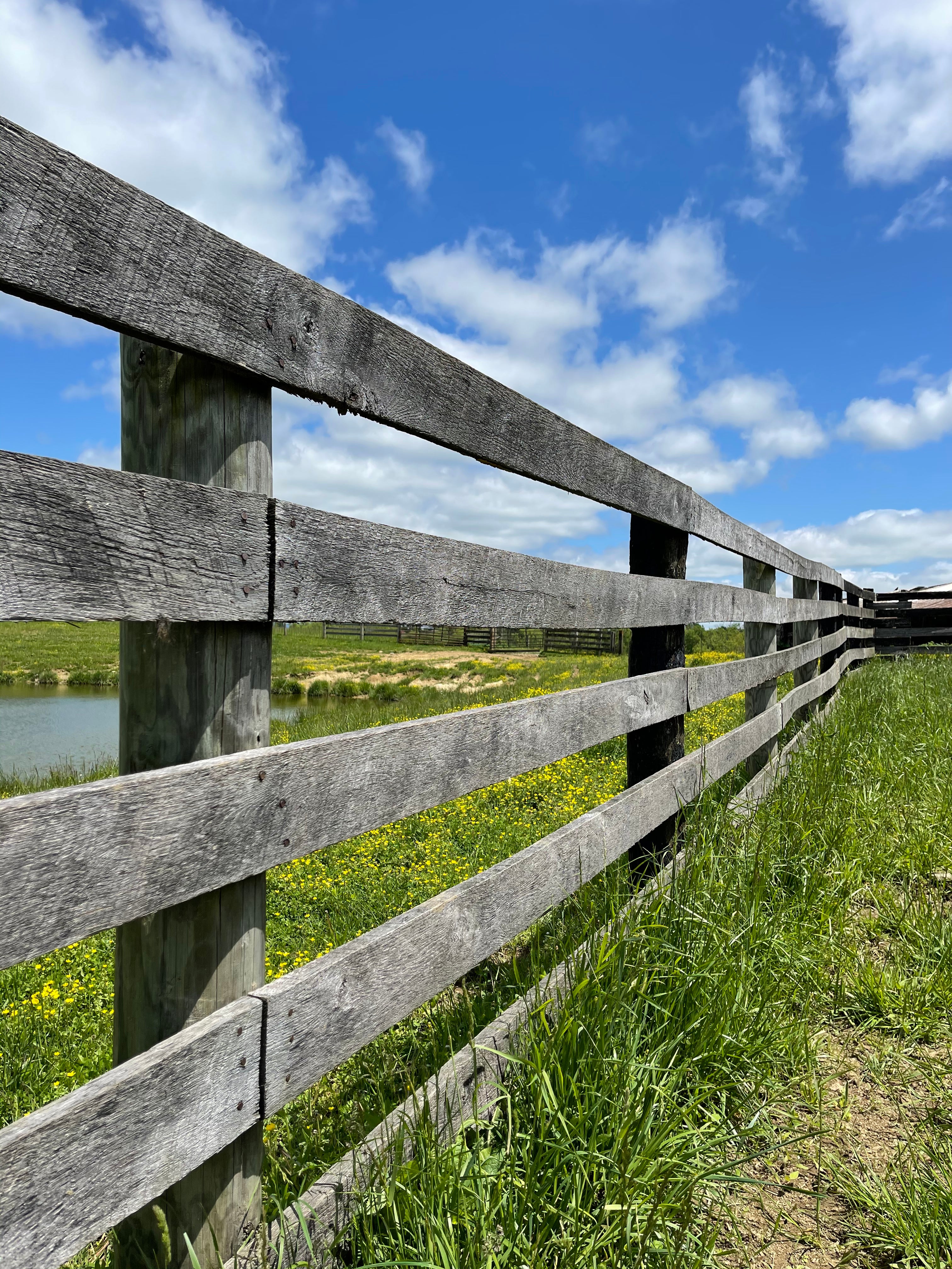Thoroughbred Wood