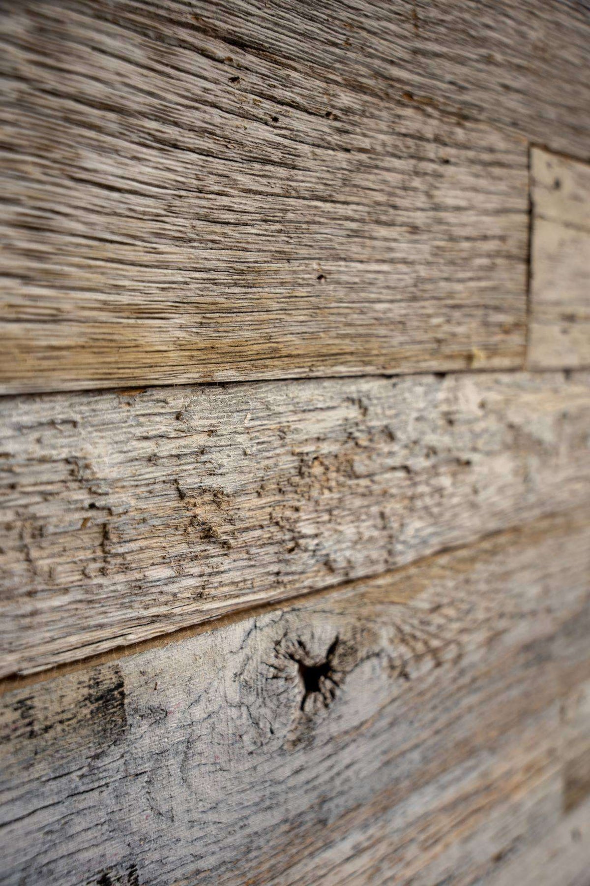 Thoroughbred Wood - Wire Brushed