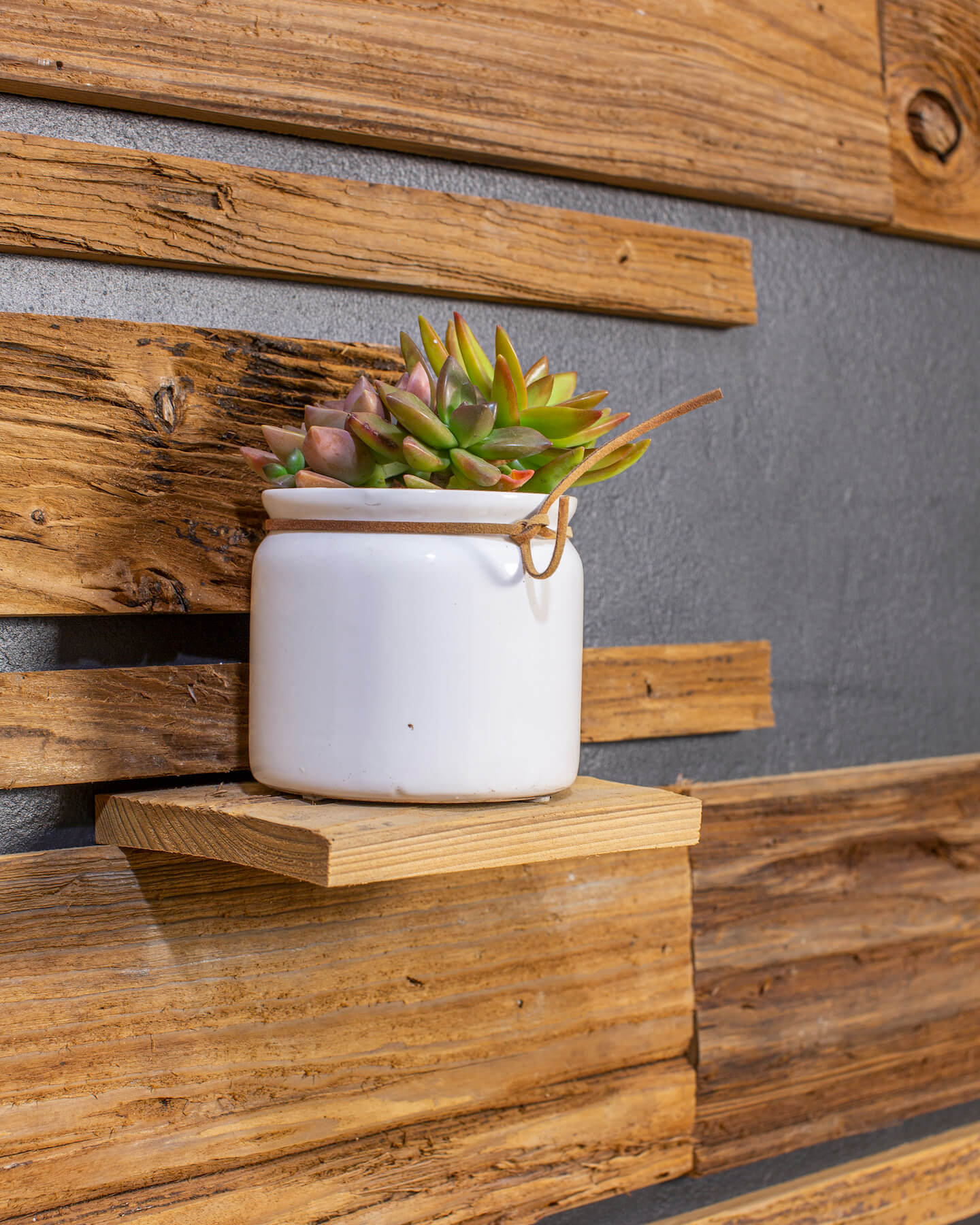 Mushroom Wood Bundle (16 sq. ft. bundle)