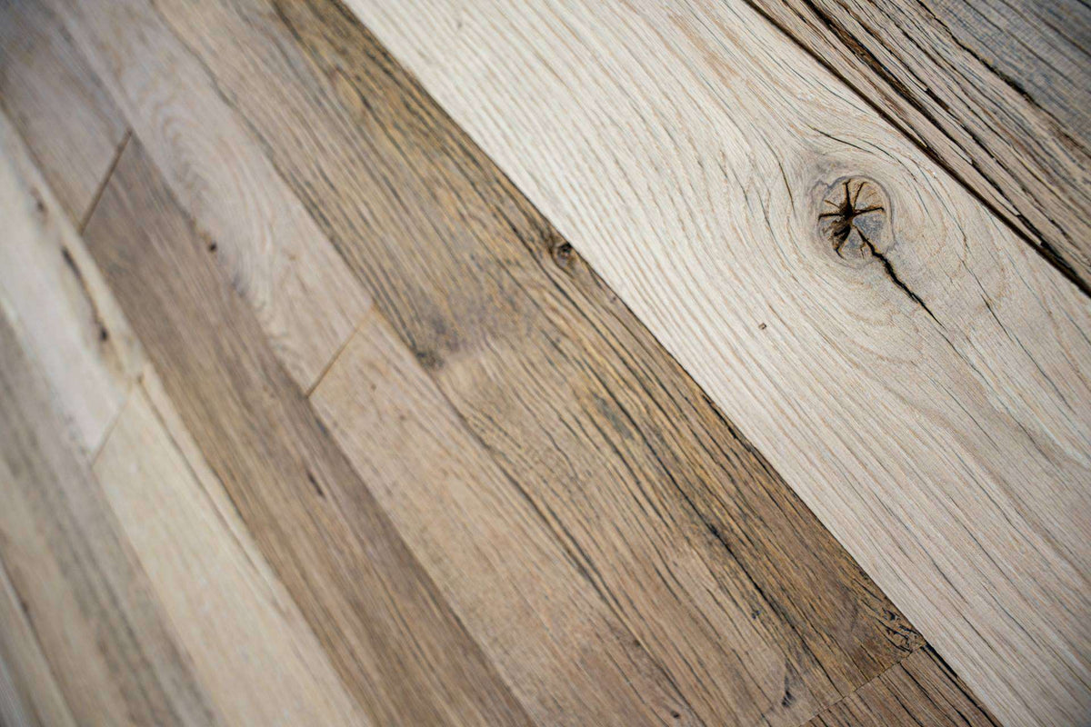 Thoroughbred Wood - Clean Face Oak