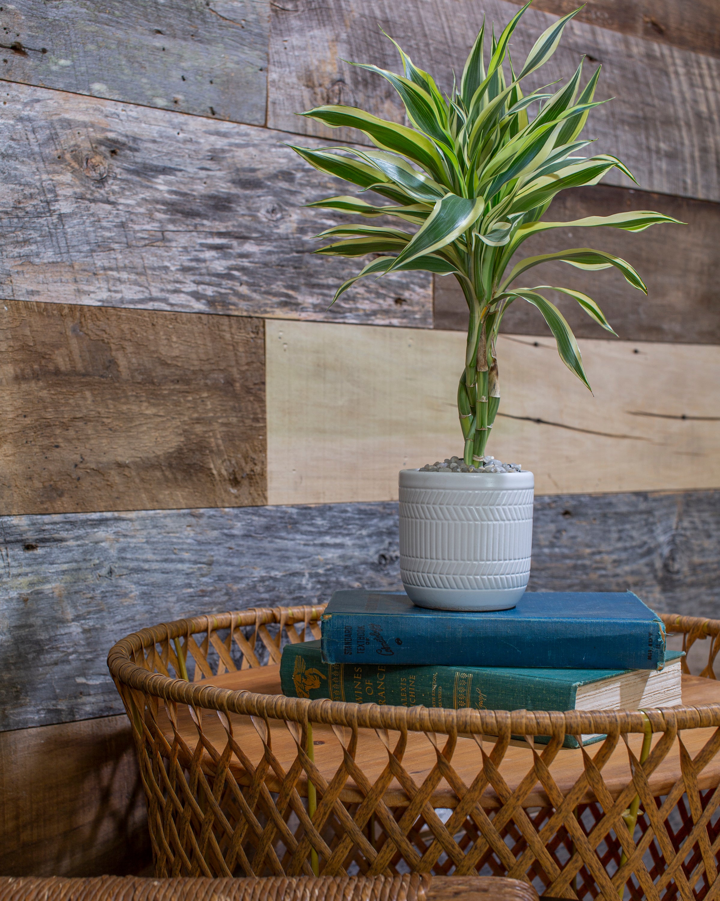 6-Inch Wide Premium Reclaimed Barnwood Planks, 20 sq. ft. bundle
