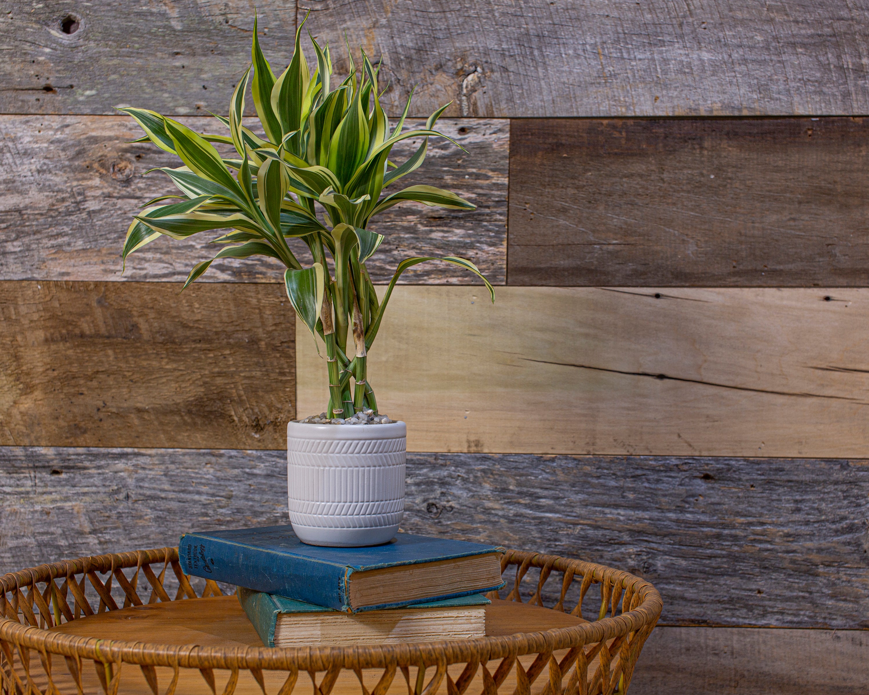 6-Inch Wide Premium Reclaimed Barnwood Planks, 20 sq. ft. bundle