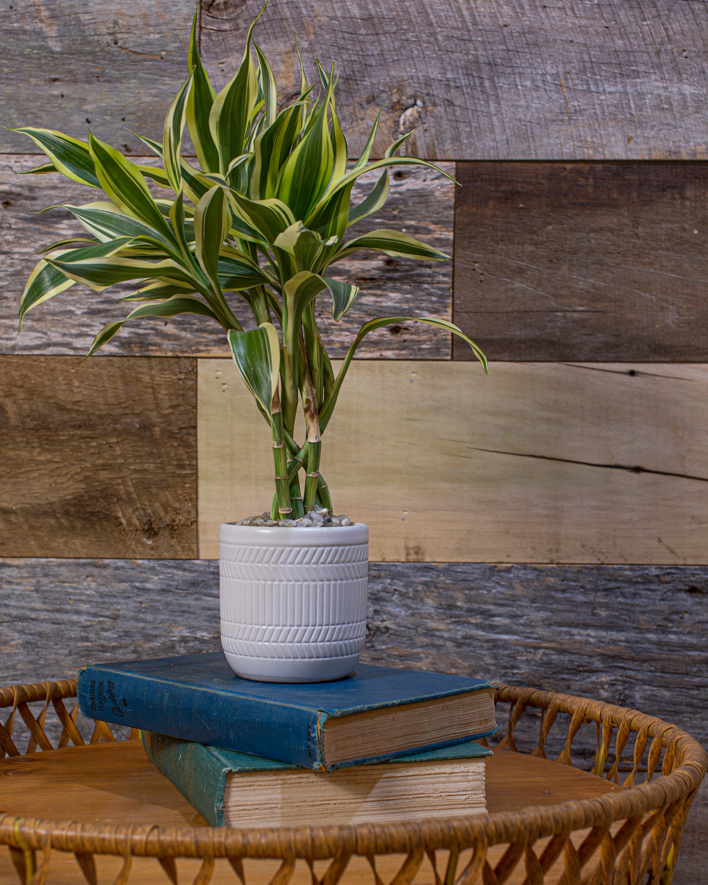6-Inch Wide Premium Reclaimed Barnwood Planks, 20 sq. ft. bundle