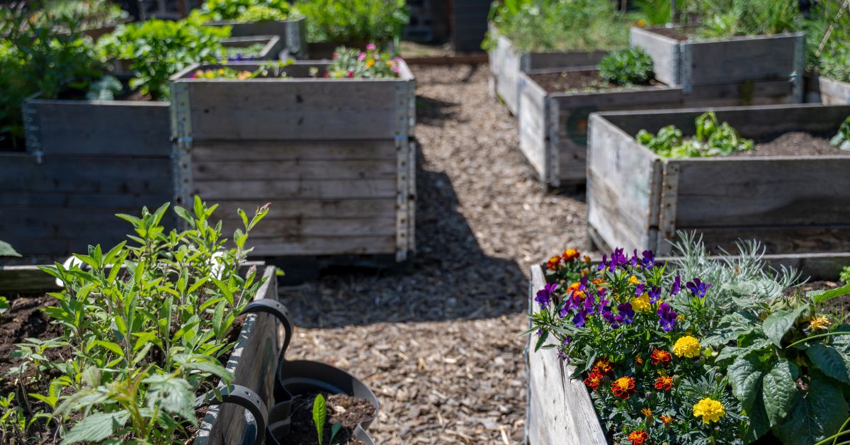 Reclaimed Lumber for Outdoor Planters and Gardens