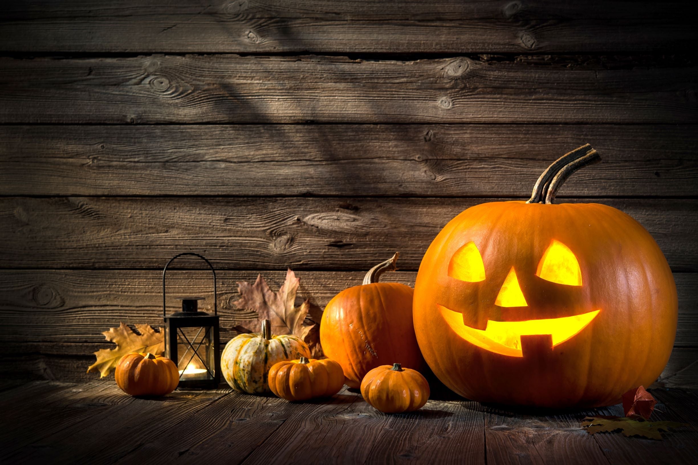 Halloween decor infront of a reclaimed wood wall.