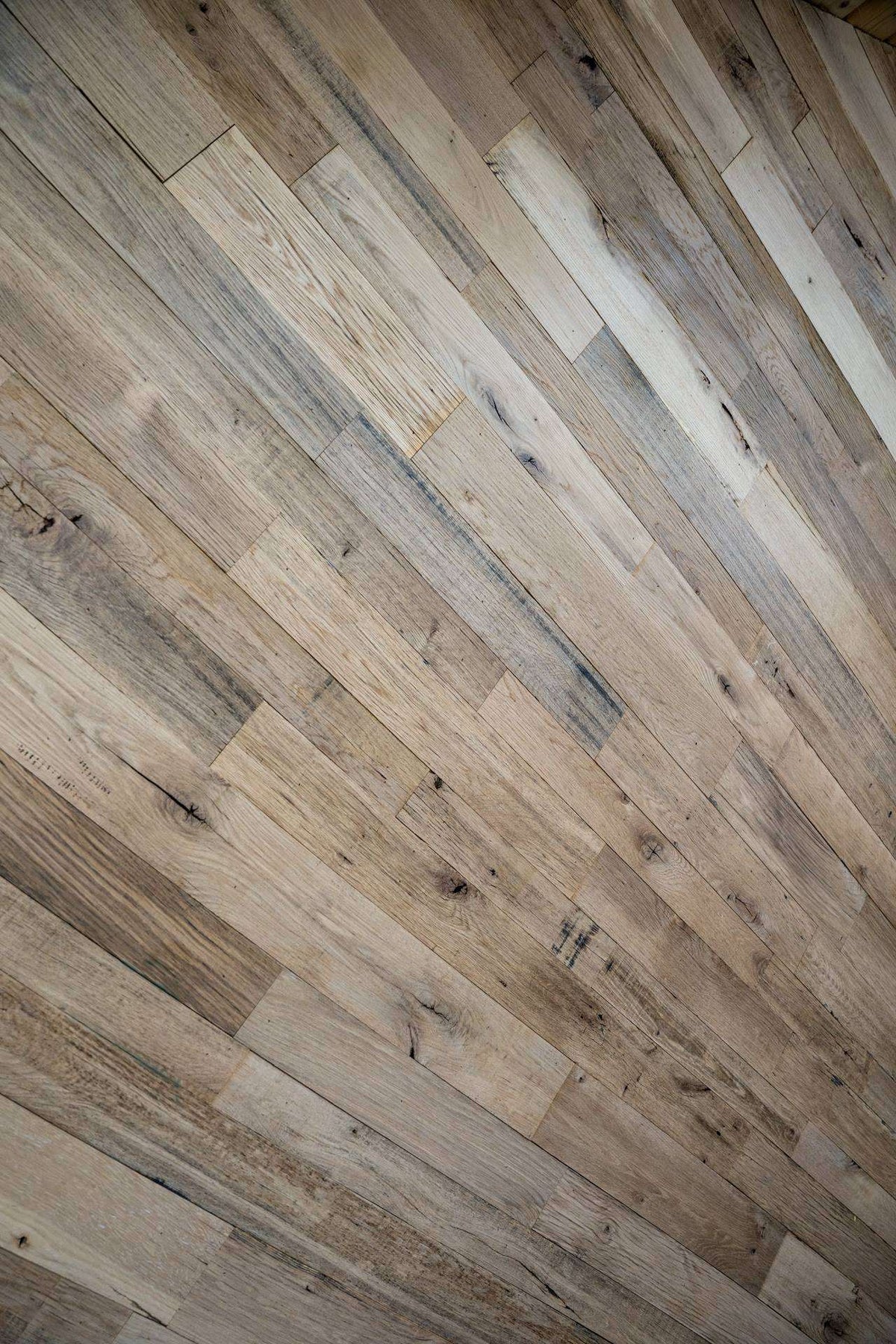 Thoroughbred Wood - Clean Face Oak