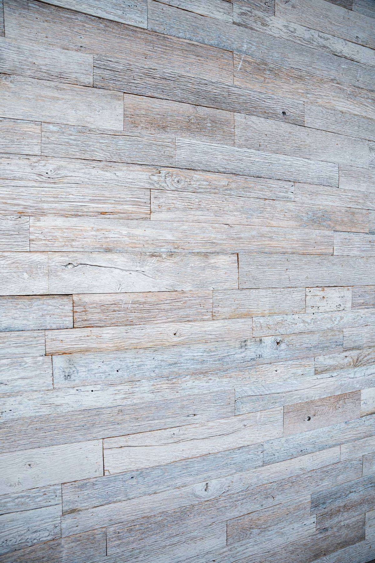 Thoroughbred Wood - Whitewashed